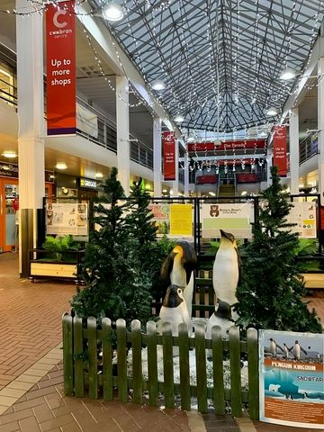 Cwmbran Centre Gearing Up For A Fun Christmas Season